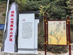 -黄埔油麻山森林公园