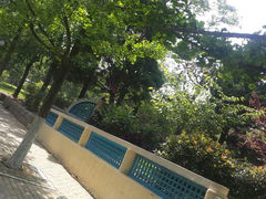 android_upload_pic-八大关景区