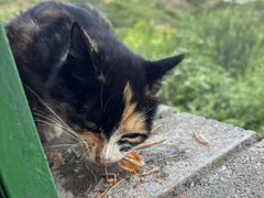 -小赖鱼馆