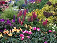 -上海共青森林公园