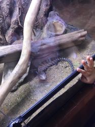 -酷嗒动物文化乐园(cutezoo西溪乐天城店)