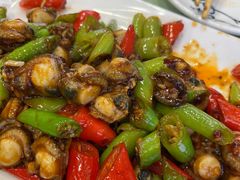 扇贝肉-九月家大骨羊店·馅饼