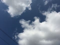 -永红源啤酒·烧烤·海鲜·大排档(青特城店)