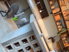 -自由生长植物工作室(深港花卉中心店)