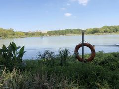 -昆山城市生态森林公园