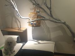 -麦子MaiMassage(打浦桥店)