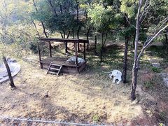 -石家庄市动物园