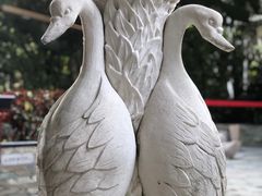 -碧水湾温泉