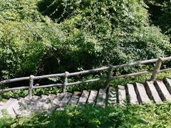 -蝶舞清江·恩施云顶景区(黄鹤峰林)