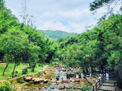 -广州白江湖森林公园