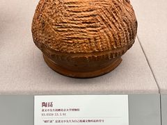 -北京大学赛克勒考古与艺术博物馆