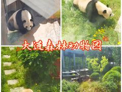 -大连森林动物园