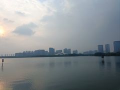 -天鹅湖体育公园