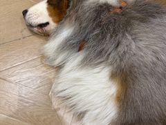 -漫慢里艺术体验馆·绘画调香手工DIY