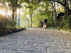 -杭州半山国家森林公园