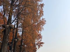 -东湖落雁景区