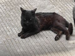 -老裁缝改衣订制