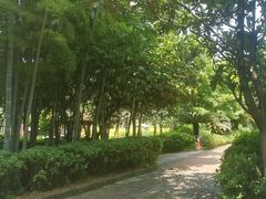 -故乡缘·香格里拉山庄(冷竹路店)
