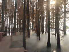 -东湖落雁景区