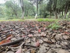 -白马涧龙池景区
