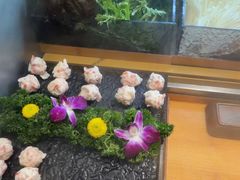 -一绪に寿喜烧自助(世茂广场店)