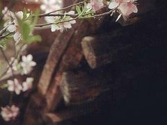 -驿舍·民國老营房院子私房菜(科学会堂店)