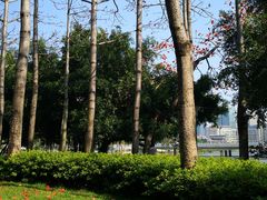 -光明港公园