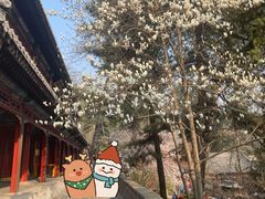 -潭柘寺景区
