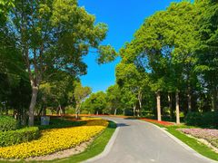 -狼山风景名胜区