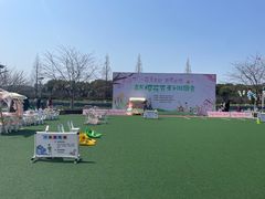 -高东镇樱花园