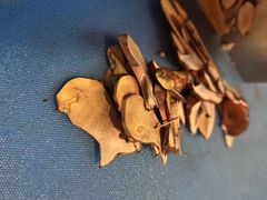 -芸山季·云南野生菌火锅(人民广场来福士店)