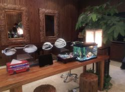 IMG_0281-红人馆造型世爵国际