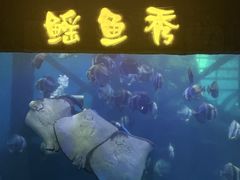 -合肥海洋世界