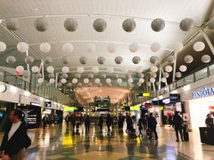 -约翰·菲茨杰拉德·肯尼迪国际机场