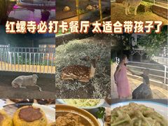 -丽泽山庄·生态怀柔菜·虹鳟鱼(红螺寺店)