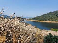 -广州市流溪河国家森林公园