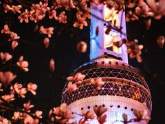 -东方明珠广播电视塔