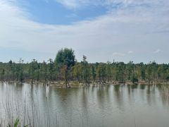 -泗洪洪泽湖湿地景区