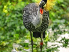 -常州淹城野生动物世界