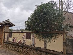 -许家山