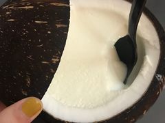 -志龙皇冠吃货椰子铺