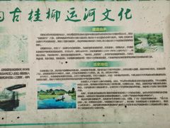-会仙湿地