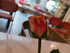-玫瑰园餐厅