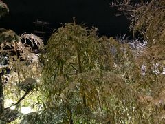 -有马温泉 竹取亭円山温泉旅馆