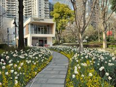 -北外滩滨江绿地