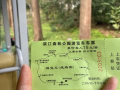 -上海滨江森林公园