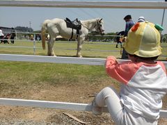 -长洲岛都市农业公园
