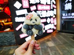 -轩客会(熊猫书店)