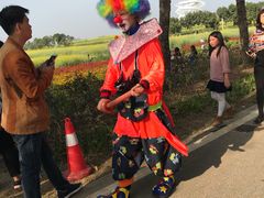 -光明小镇欢乐田园
