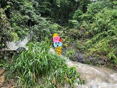 -南昆山川龙瀑布